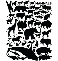 Mammals vector image
