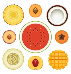 Fruit Halves Set vector image