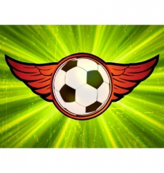 Grunge soccer ball vector image