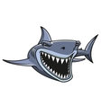Danger shark attacks vector image