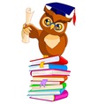 Graduation cap and diploma vector image