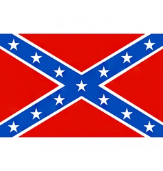 American confederate flag vector image