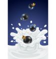 Black currants vector image