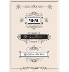 Set vector vintage ornaments vector image