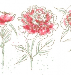 Three drawn peony vector image