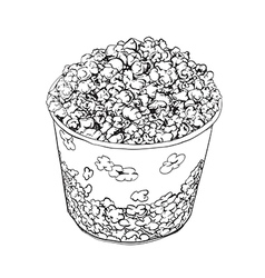 Popcorn vector image