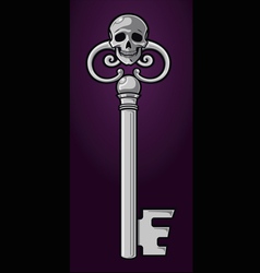 Skeleton key vector image