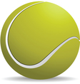 Tennis ball vector image