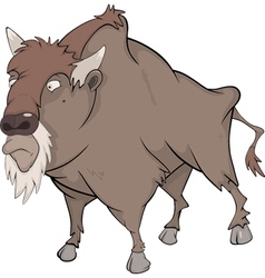 Bison buffalo vector image