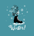 Doodle skates Doodle skates vector image