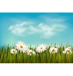 Grass with daisies under blue sky Retro background vector image