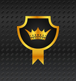 Heraldic shield on titanium background - vector image