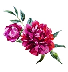 Nice watercolor flowers vector image
