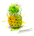 Sketch of pineapple vector image