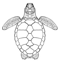 Sea turtle hand drawn Sea turtle hand drawn vector image