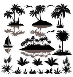 Tropical set with palms silhouettes vector image