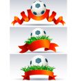 Soccer ball vector image