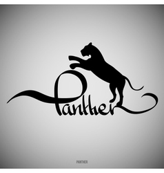 Panther Calligraphic elements Panther Calligraphic elements vector image