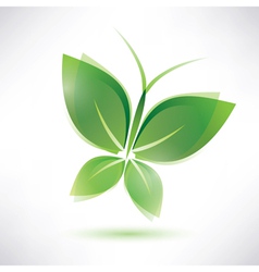 Butterfly vector image
