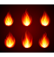 Various Flames vector image