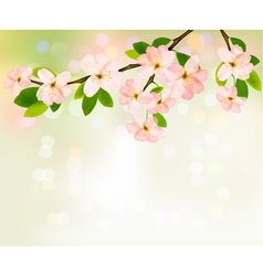Spring background with blossoming tree brunch with vector image