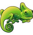 Chameleon vector image