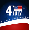American Flag for Independence Day vector image