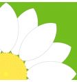 White flower quarter vector image