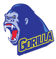 Gorilla mascot vector image