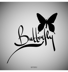 Butterfly Calligraphic elements vector image