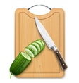 Ripe cucumber cut segment on vector image