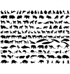 animals vector image