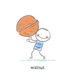 Walnut and people vector image