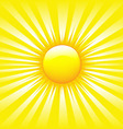 Bright sunburst vector image