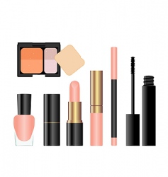 Makeup collection vector image