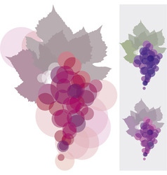 Grape background vector image