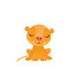 Cute lion cartoon on white background vector image