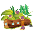 Snails and a wood house vector image