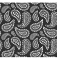 Paisley seamless pattern vector image