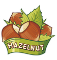 Hazelnut label vector image