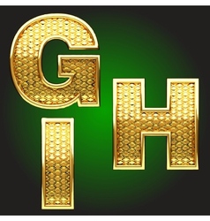 Golden figure set vector image