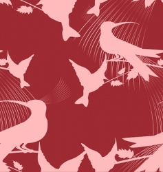 Paradise birds vector image