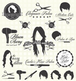 Hair Salon Labels and Icons Hair Salon Labels and Icons vector image