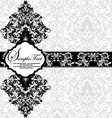 Damask invitation floral card vector image