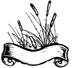 Reed Banner vector image
