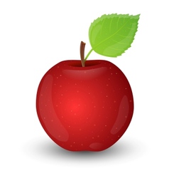 Red apple Red apple vector image