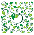 Green leaves set vector image