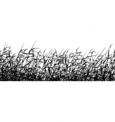 Reed foreground Reed foreground vector image