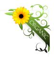 Summer floral vector image