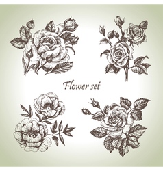 Floral set vector image